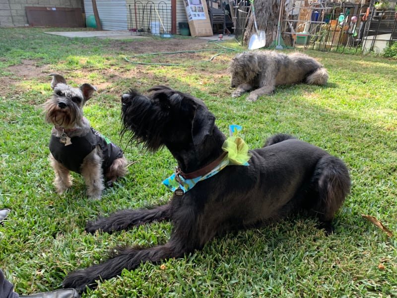 Drax, Kenya, and Reilly